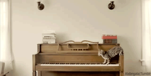 Музыкальная кошка