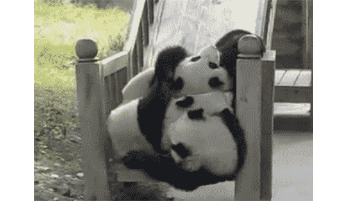 Панды на горке