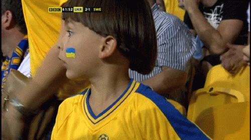 Евро 2012: Украина - Швеция 2-1